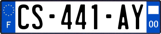 CS-441-AY