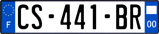 CS-441-BR
