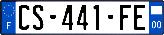 CS-441-FE