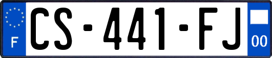 CS-441-FJ