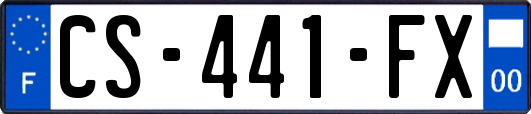 CS-441-FX