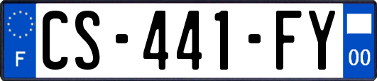CS-441-FY