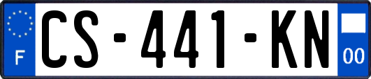 CS-441-KN
