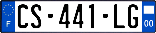CS-441-LG