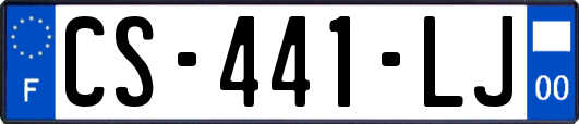CS-441-LJ