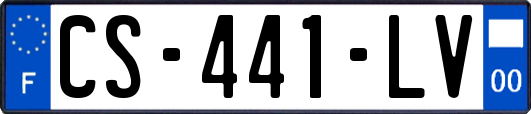CS-441-LV