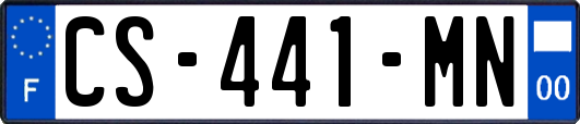 CS-441-MN