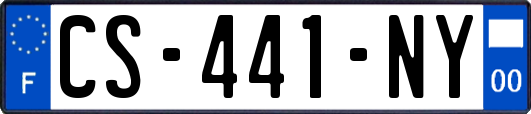 CS-441-NY