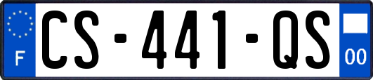 CS-441-QS