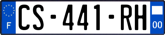 CS-441-RH