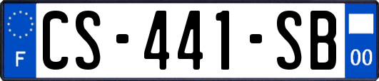 CS-441-SB