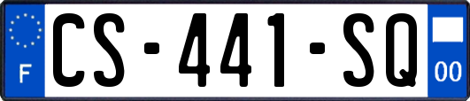 CS-441-SQ