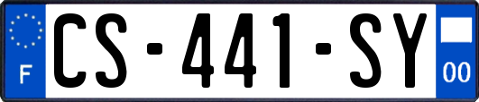 CS-441-SY