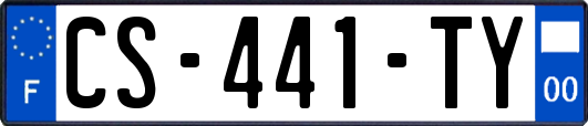 CS-441-TY