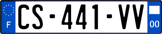 CS-441-VV