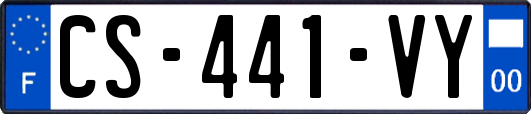 CS-441-VY