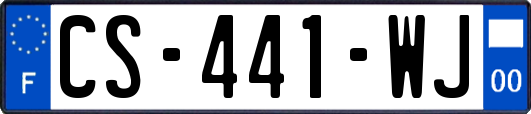 CS-441-WJ