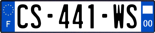 CS-441-WS