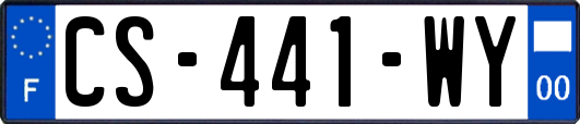 CS-441-WY