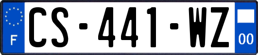 CS-441-WZ