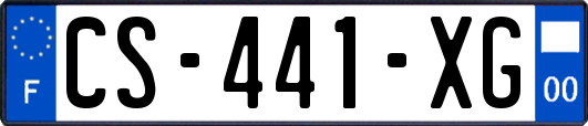 CS-441-XG