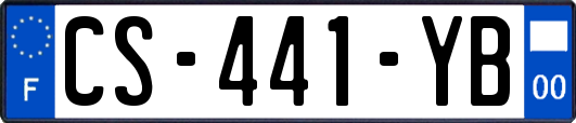 CS-441-YB
