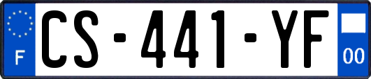 CS-441-YF