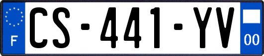 CS-441-YV