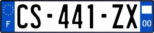 CS-441-ZX