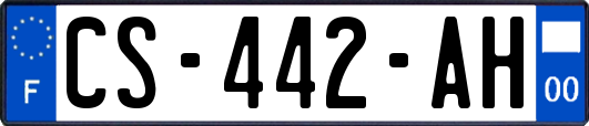 CS-442-AH