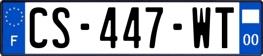 CS-447-WT