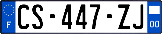 CS-447-ZJ