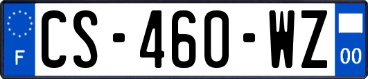 CS-460-WZ