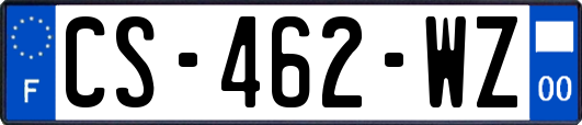 CS-462-WZ