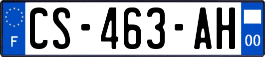 CS-463-AH