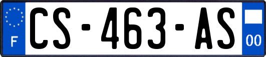 CS-463-AS