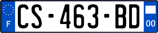 CS-463-BD