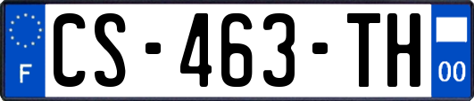 CS-463-TH