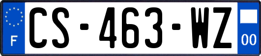 CS-463-WZ