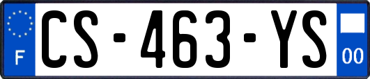 CS-463-YS