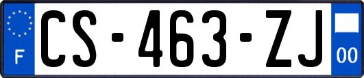 CS-463-ZJ