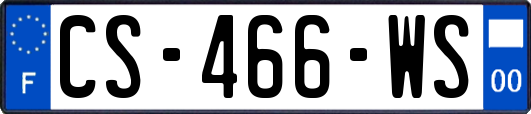 CS-466-WS