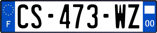 CS-473-WZ