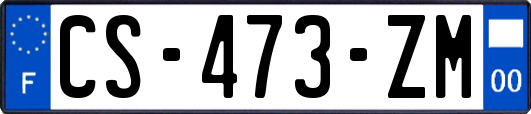 CS-473-ZM