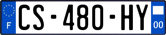 CS-480-HY