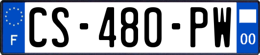 CS-480-PW