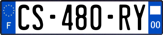 CS-480-RY