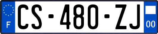 CS-480-ZJ