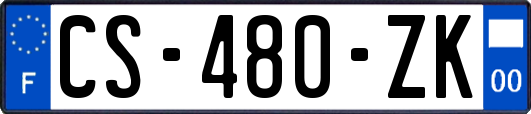 CS-480-ZK