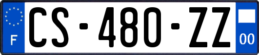 CS-480-ZZ